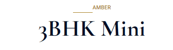 Amber 3 BHk mini-The Medallion